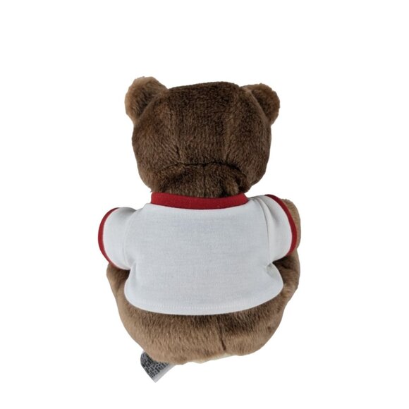 McGraw-Hill Teddy Bear Hand Puppet Early DLM Childhood Express Shirt Lot Vintage - Picture 3 of 9